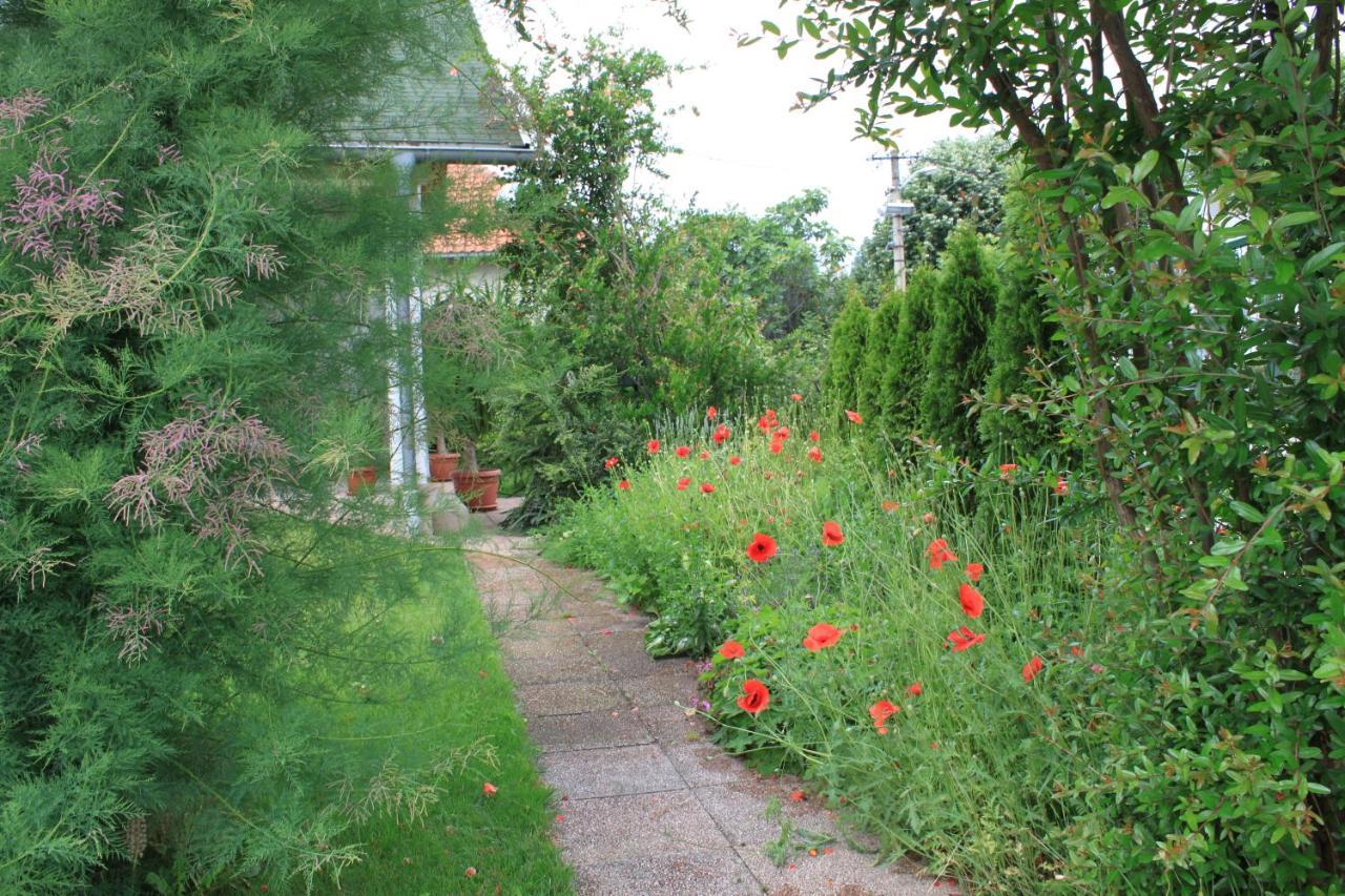 Boulevard Garden House - Free And Save Parking In The Locked Yard Ćuprija Esterno foto